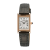 swr096p1
