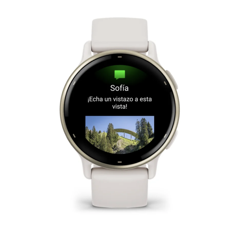 captura_de_pantalla_2024-11-06_a_las_3_14_32