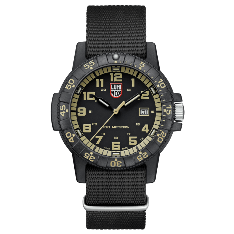 leatherback-sea-turtle-giant-0320-series-0333_jpg