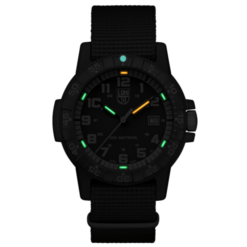 leatherback-sea-turtle-giant-0320-series-0333_jpg1